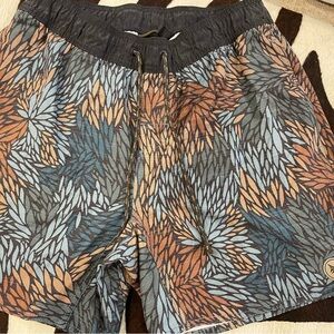 Men's Aquatic Division “Hippytree” Multicolor Swim Shorts
